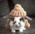 Cute Rabbit Wearing Cap